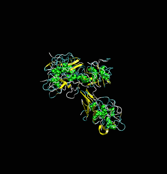 amyloid beta 42