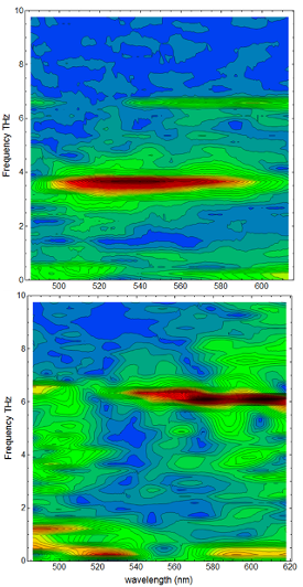 Fourier transforms of coherent A1g oscillations for the CDW (3K and 0.017mJ/cm2) and normal phases (3K and a 0.9mJ/cm2) Fourier transforms of coherent A 1g oscillations for the CDW (3K and 0.017mJ/cm 2 ) and normal phases (3K and a 0.9mJ/cm 2 )