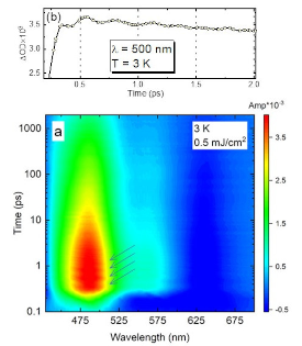 (a) Transient reflectivity data taken at 3 K with the pump fluence of 0.5 mJ/cm2. Arrows indicate the coherent oscillations within the first picosecond. (b) Kinetic trace at λ=500 nm showing the coherent oscillations. (a) Transient reflectivity data taken at 3 K with the pump fluence of 0.5 mJ/cm2. Arrows indicate the coherent oscillations within the first picosecond. (b) Kinetic trace at λ=500 nm showing the coherent oscillations.
