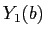 $Y_1(b)$